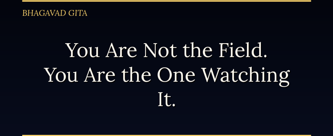 You Are Not the Field. You Are the One Watching It.