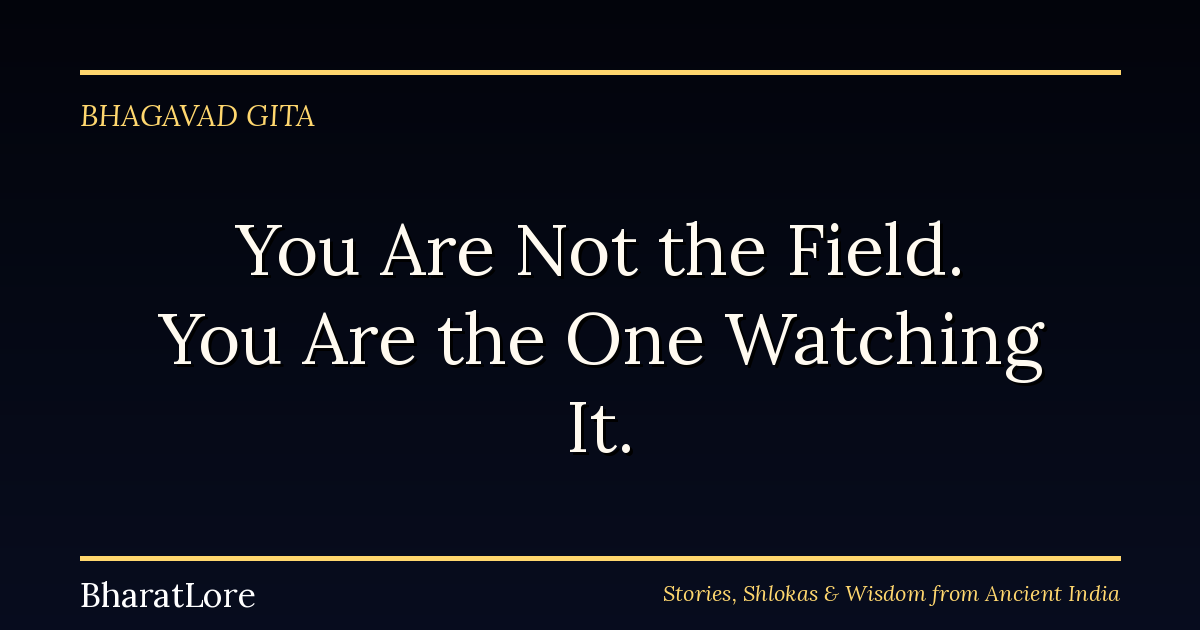 You Are Not the Field. You Are the One Watching It.