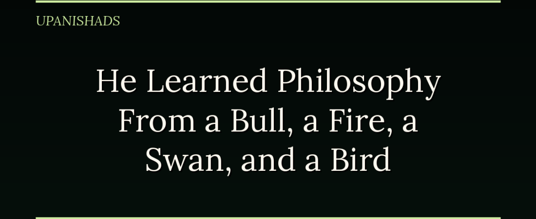 He Learned Philosophy From a Bull, a Fire, a Swan, and a Bird