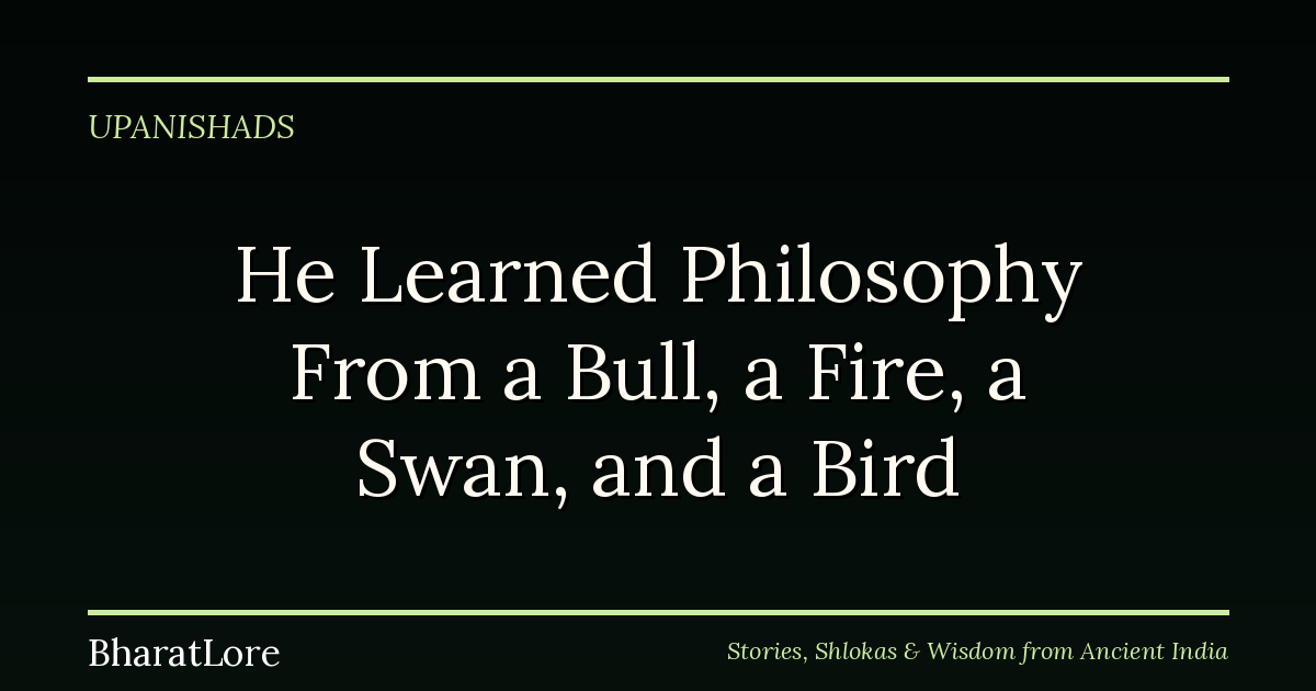 He Learned Philosophy From a Bull, a Fire, a Swan, and a Bird