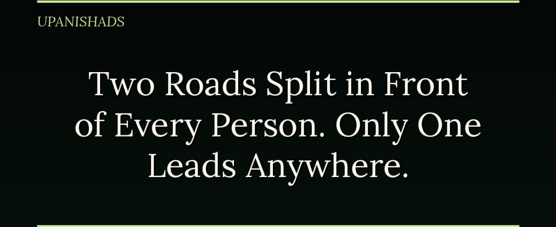 Two Roads Split in Front of Every Person. Only One Actually Leads Anywhere.
