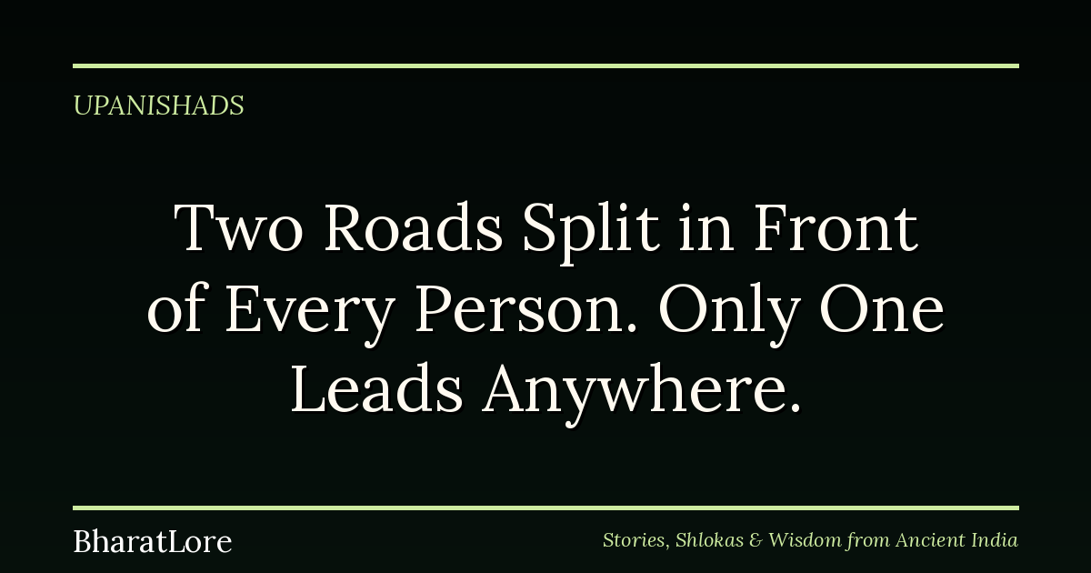 Two Roads Split in Front of Every Person. Only One Actually Leads Anywhere.