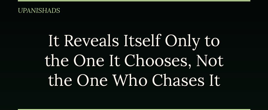 It Reveals Itself Only to the One It Chooses, Not the One Who Chases It