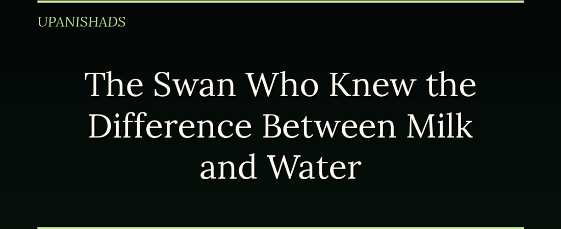 The Swan Who Knew the Difference Between Milk and Water