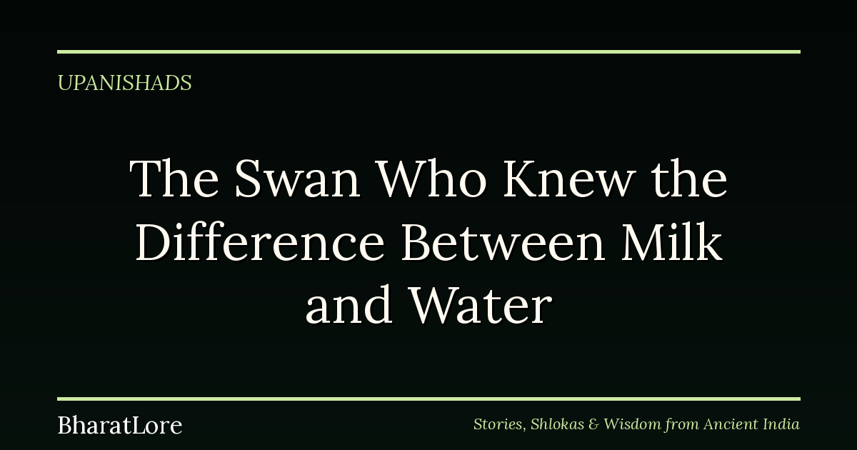 The Swan Who Knew the Difference Between Milk and Water